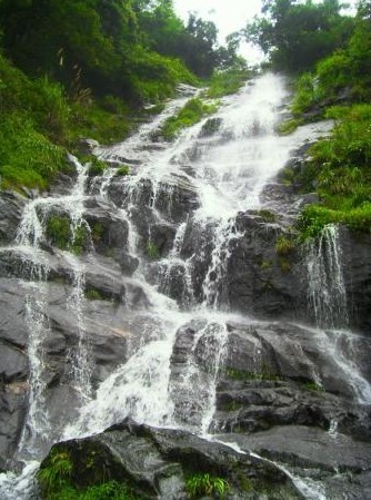 周洛活動 周洛活動