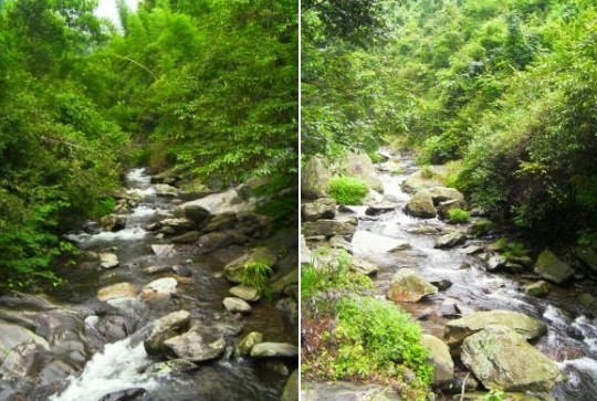 周洛活動 周洛活動